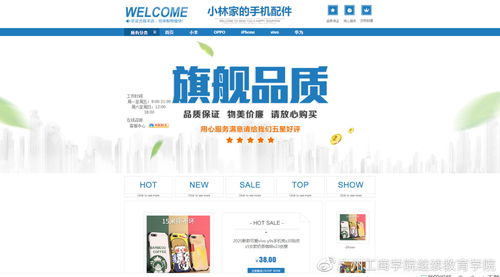 2020電子商務(wù)網(wǎng)店策劃與經(jīng)營技能競賽 電子商務(wù)運營服務(wù)的核心與實踐